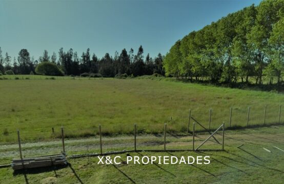 Se VENDE PARCELA con Rol propio, en Sector Dalpín comuna de Pitrufquén.