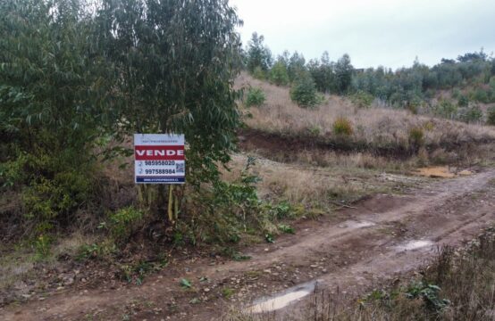 Se Vende Parcela 5.000 m2 Nueva Imperial.