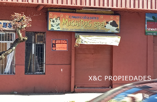 Se Arrienda Local Comercial, Calle Balmaceda con Aldunate.